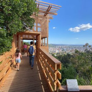 Entrada de Prueba – Copy